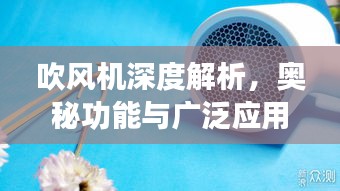 吹風(fēng)機(jī)深度解析，奧秘功能與廣泛應(yīng)用探索