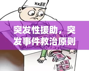 突發(fā)性援助，突發(fā)事件救治原則 