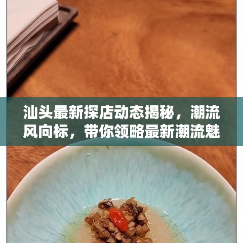 汕頭最新探店動態(tài)揭秘，潮流風(fēng)向標(biāo)，帶你領(lǐng)略最新潮流魅力
