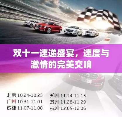 雙十一速遞盛宴，速度與激情的完美交響