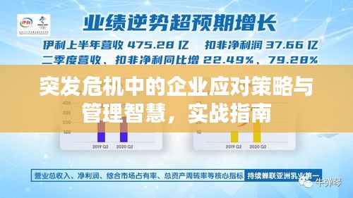 突發(fā)危機(jī)中的企業(yè)應(yīng)對(duì)策略與管理智慧，實(shí)戰(zhàn)指南