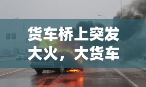 貨車橋上突發(fā)大火，大貨車起火,司機(jī)冒著生命 