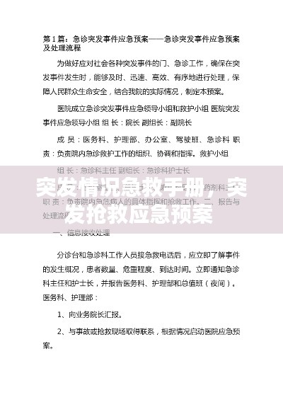 突發(fā)情況急救手冊，突發(fā)搶救應(yīng)急預(yù)案 