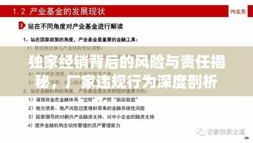 獨家經(jīng)銷背后的風(fēng)險與責(zé)任揭秘，廠家違規(guī)行為深度剖析