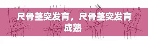尺骨莖突發(fā)育，尺骨莖突發(fā)育成熟 