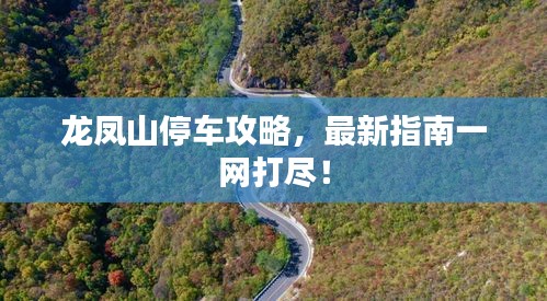 龍鳳山停車攻略，最新指南一網(wǎng)打盡！