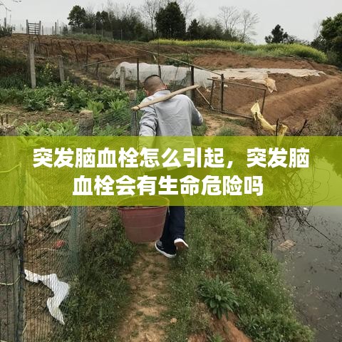 突發(fā)腦血栓怎么引起，突發(fā)腦血栓會有生命危險嗎 
