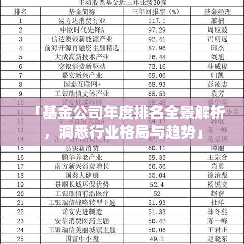 「基金公司年度排名全景解析，洞悉行業(yè)格局與趨勢(shì)」