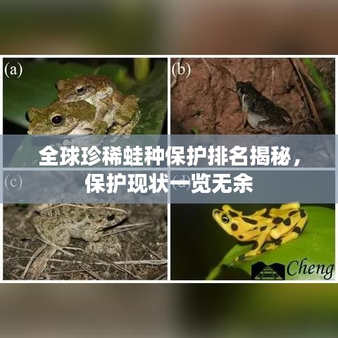 全球珍稀蛙種保護(hù)排名揭秘，保護(hù)現(xiàn)狀一覽無(wú)余