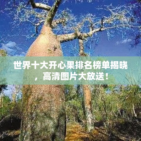 世界十大開心果排名榜單揭曉，高清圖片大放送！