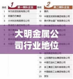 大明金屬公司行業(yè)地位與影響力解析，行業(yè)排名揭秘