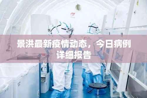 景洪最新疫情動態(tài)，今日病例詳細報告