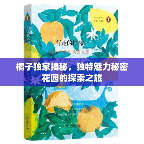 橘子獨(dú)家揭秘，獨(dú)特魅力秘密花園的探索之旅