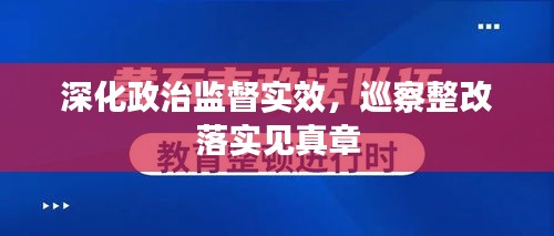 深化政治監(jiān)督實(shí)效，巡察整改落實(shí)見(jiàn)真章