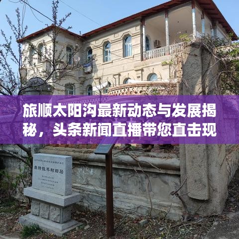 旅順太陽溝最新動態(tài)與發(fā)展揭秘，頭條新聞直播帶您直擊現(xiàn)場