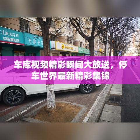 車庫視頻精彩瞬間大放送，停車世界最新精彩集錦