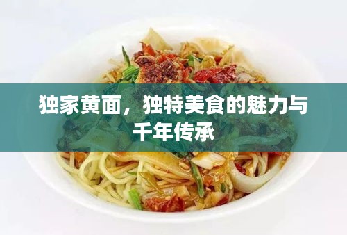 獨(dú)家黃面，獨(dú)特美食的魅力與千年傳承