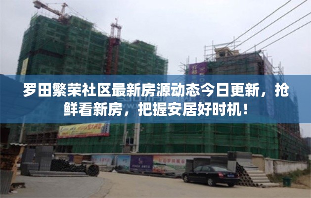羅田繁榮社區(qū)最新房源動態(tài)今日更新，搶鮮看新房，把握安居好時機(jī)！