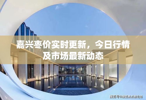嘉興棗價實時更新，今日行情及市場最新動態(tài)