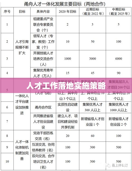 人才工作落地實施策略