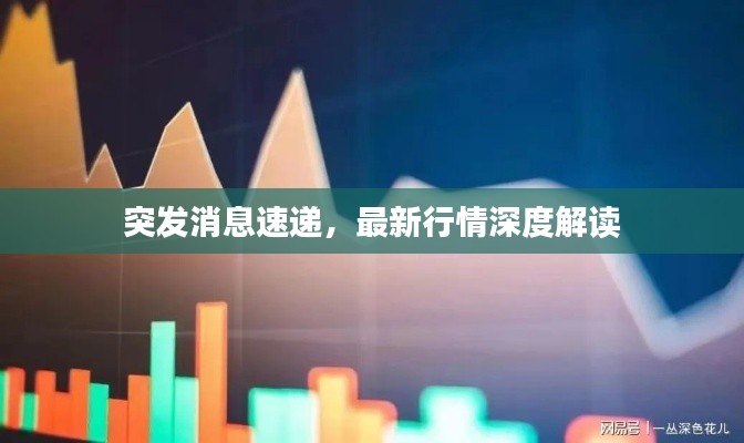 突發(fā)消息速遞，最新行情深度解讀