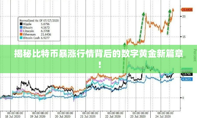 揭秘比特幣暴漲行情背后的數(shù)字黃金新篇章！
