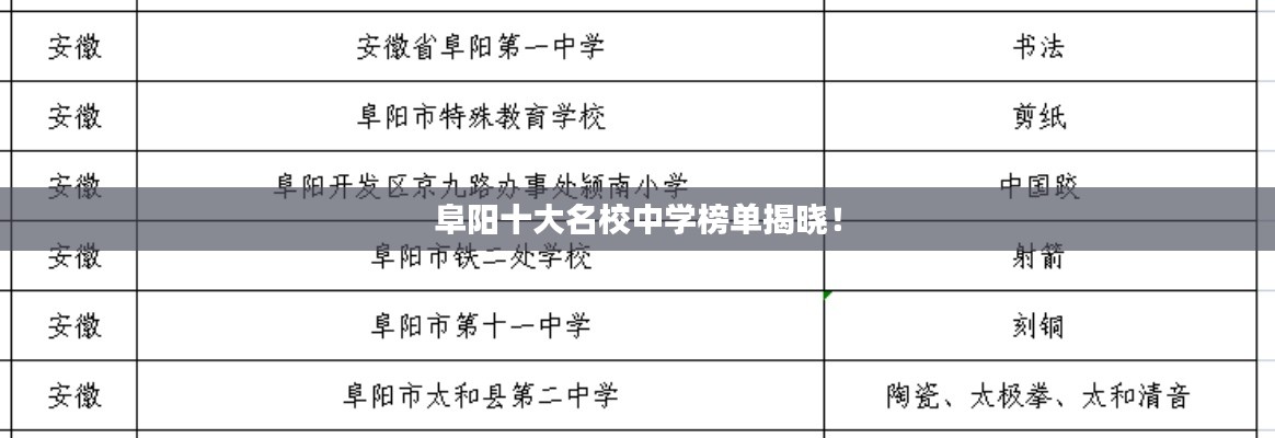阜陽十大名校中學(xué)榜單揭曉！