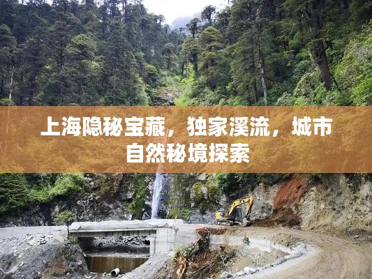 上海隱秘寶藏，獨(dú)家溪流，城市自然秘境探索