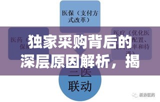 獨(dú)家采購(gòu)背后的深層原因解析，揭秘設(shè)備采購(gòu)背后的因素