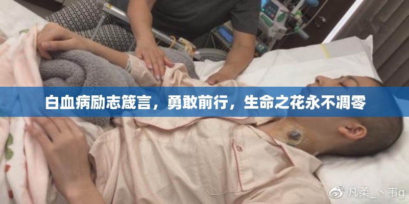 白血病勵志箴言，勇敢前行，生命之花永不凋零