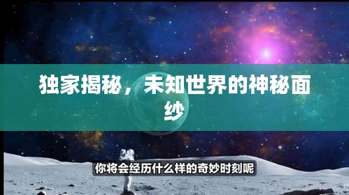 獨(dú)家揭秘，未知世界的神秘面紗