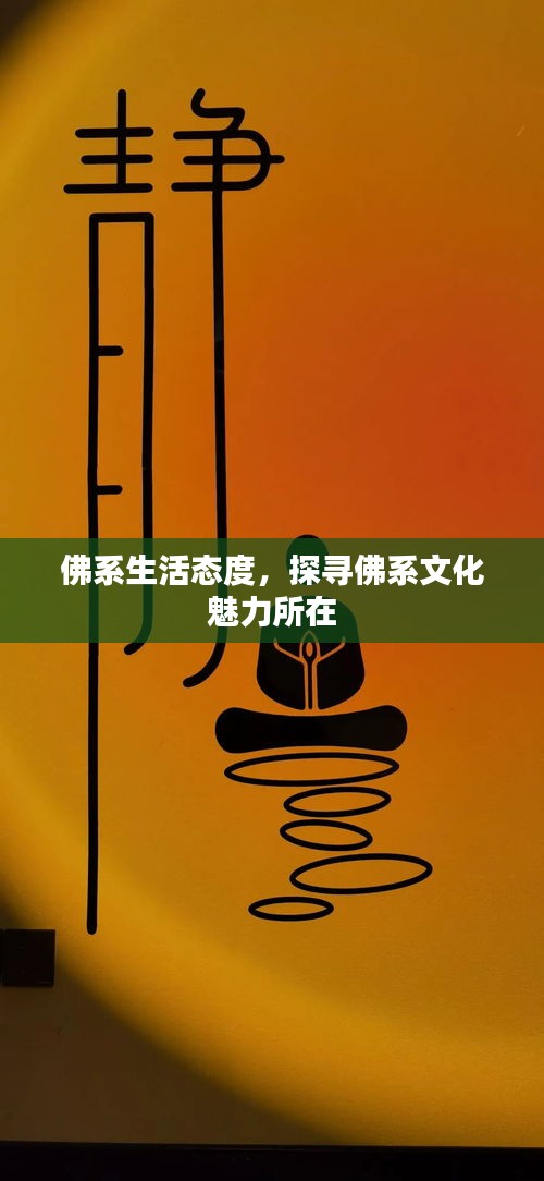 佛系生活態(tài)度，探尋佛系文化魅力所在