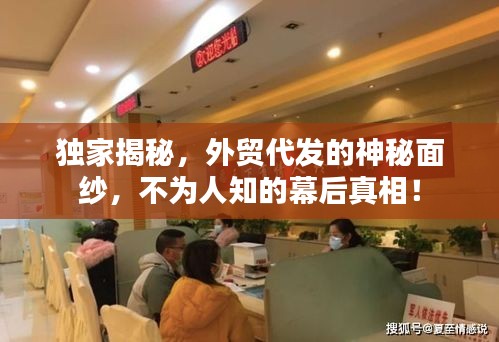 獨(dú)家揭秘，外貿(mào)代發(fā)的神秘面紗，不為人知的幕后真相！