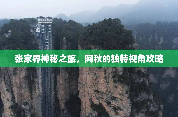 張家界神秘之旅，阿秋的獨(dú)特視角攻略