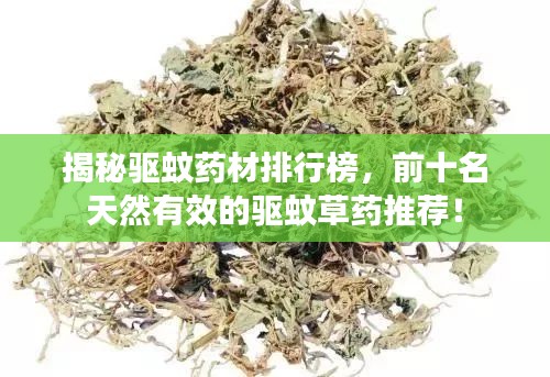 揭秘驅(qū)蚊藥材排行榜，前十名天然有效的驅(qū)蚊草藥推薦！