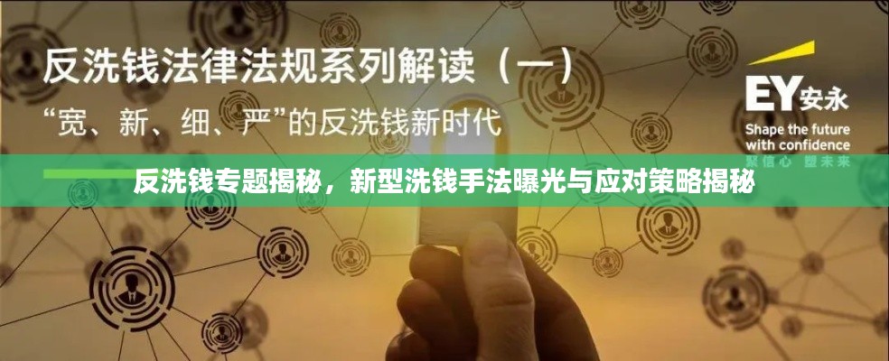反洗錢專題揭秘，新型洗錢手法曝光與應(yīng)對(duì)策略揭秘