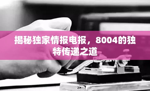 揭秘獨(dú)家情報(bào)電報(bào)，8004的獨(dú)特傳遞之道