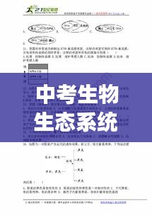 中考生物生態(tài)系統(tǒng)深度解析，專題解讀與知識(shí)要點(diǎn)梳理