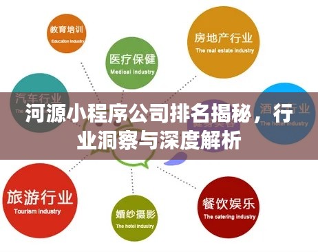 河源小程序公司排名揭秘，行業(yè)洞察與深度解析