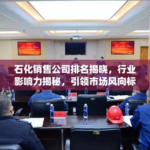 石化銷售公司排名揭曉，行業(yè)影響力揭秘，引領(lǐng)市場風(fēng)向標(biāo)！