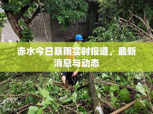 赤水今日暴雨實時報道，最新消息與動態(tài)