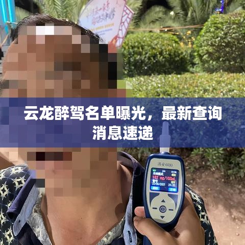 云龍醉駕名單曝光，最新查詢消息速遞
