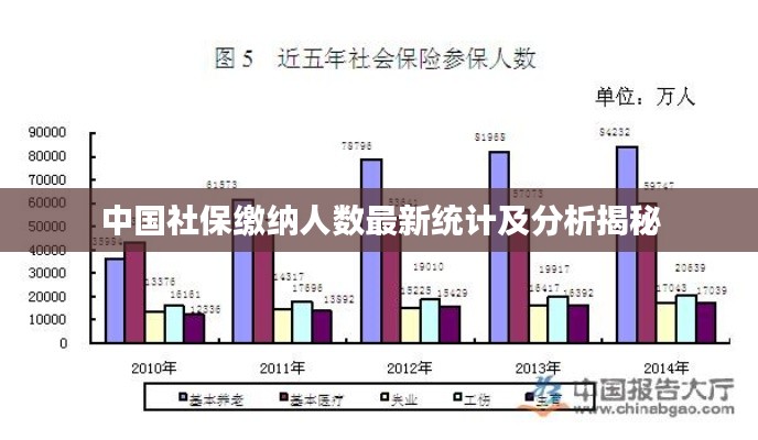 中國社保繳納人數最新統(tǒng)計及分析揭秘