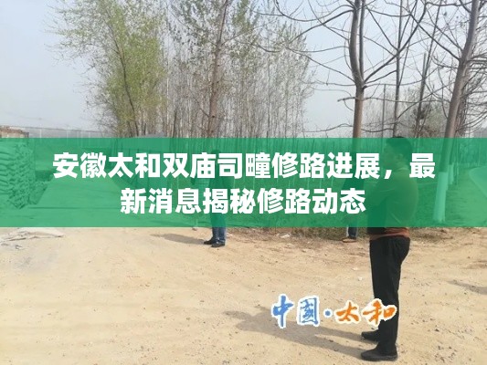 安徽太和雙廟司疃修路進(jìn)展，最新消息揭秘修路動(dòng)態(tài)