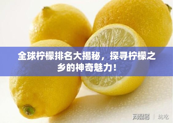 全球檸檬排名大揭秘，探尋檸檬之鄉(xiāng)的神奇魅力！