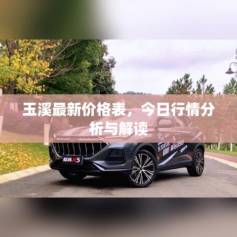 玉溪最新價格表，今日行情分析與解讀