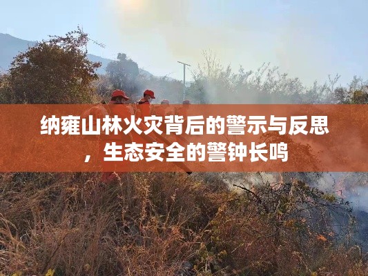 納雍山林火災背后的警示與反思，生態(tài)安全的警鐘長鳴
