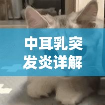 中耳乳突發(fā)炎詳解，定義、誘因、癥狀與治療方案