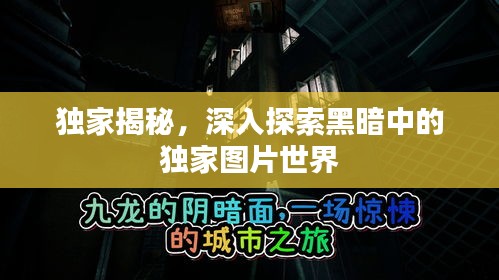 獨家揭秘，深入探索黑暗中的獨家圖片世界