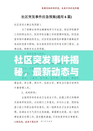 社區(qū)突發(fā)事件揭秘，最新動態(tài)與應對舉措一網(wǎng)打盡！